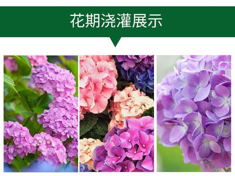 2a7b34ed-098a-475d-bb33-0ba5ece7f9ab.jpe