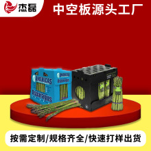 PP塑料中空板可循环利用蔬菜箱水果物流箱物流专用可定制周转箱