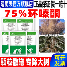 �����75%�ߝ�ȭh�ͪ�w�������ӳ��ݘ䚢��䠀���۳��ݠ�����