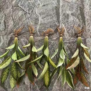 12�^�콶�~�����پGֲ�͏d�bٻ������҃ȿ͏d��ה[������Gֲ