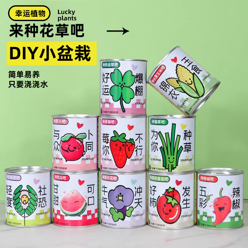 Planting Small Potted Desktop Canned Plants Primary School Kindergarten Children's Day Gifts for Students Blind Box Wholesale Customization