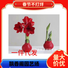 �M����피tϞ���ذ���피tϞ��N��Y���҃��̨�Gֲ������������