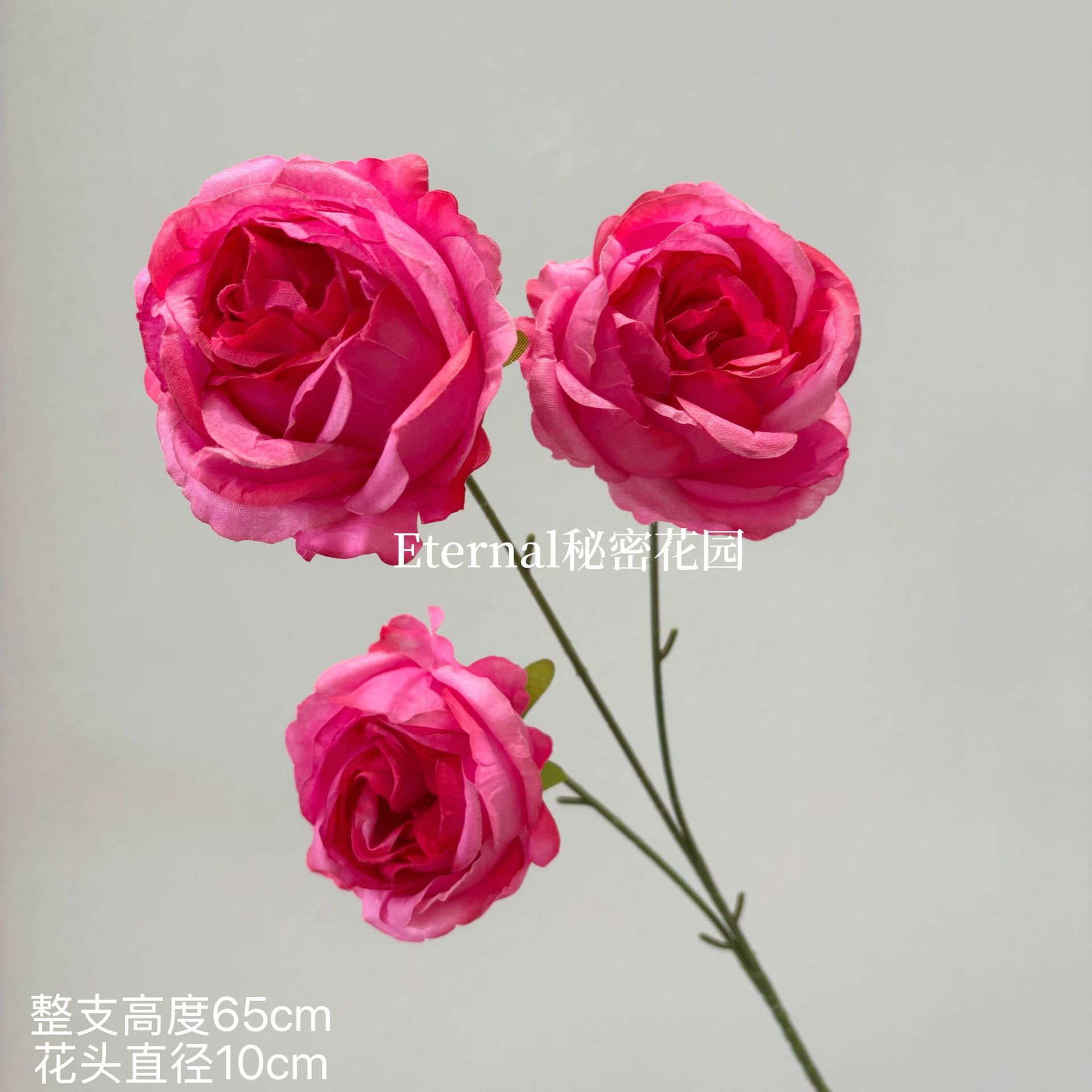 바오신메이