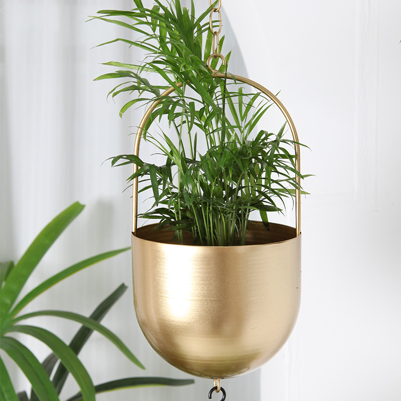 Hanging Planter Image 3