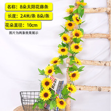 õٻٗl͏d{ܵړbůp@ϵֲ