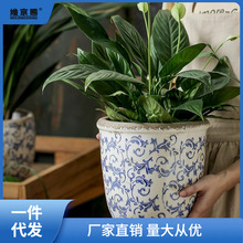 新中式仿古青花瓷兰花蝴蝶兰陶瓷花盆水培器皿种植花卉绿植园艺大