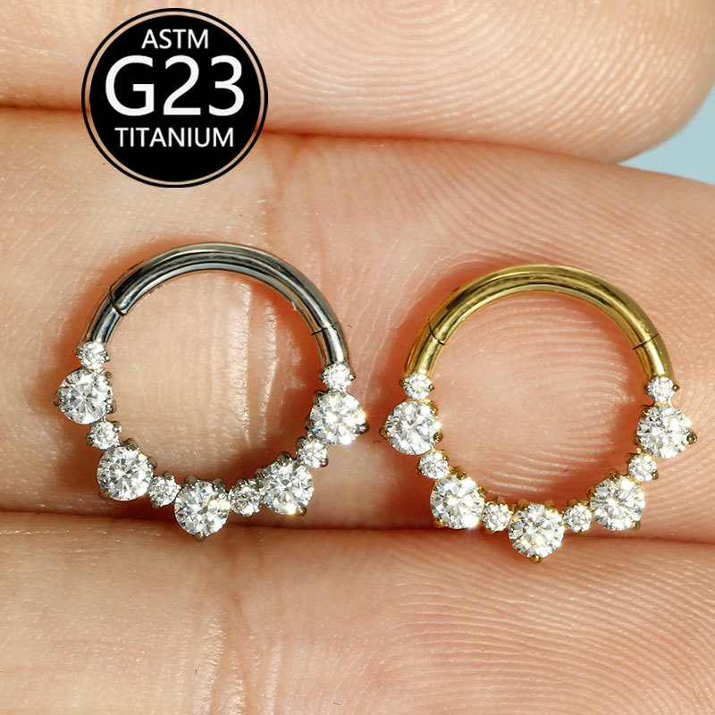G23 Titanium Alloy Inlaid Zircon Earrings Nose Ring Closed Ring All Over Titanium Piercing Jewelry Spot Single Sale detail image 7