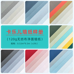 厚い不織布の純色のきれいな面の壁紙のシンプルな組み合わせの北欧の家の高級感の壁紙の見本のモランディ色