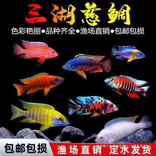 ���������~�ھ����ӻ��w��С�����B�׻�Ꭷ�^�p�~��ˮ�~���׻�ƿ