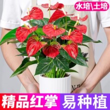 �ؼ��t������һ���L혻���ֲ���҃ȾGֲ���\���^����ˮ���ļ��_��