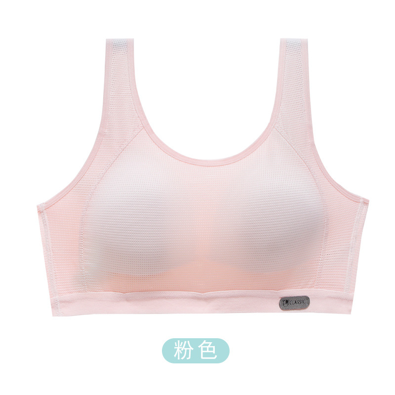 라이트 사쿠라 파우더