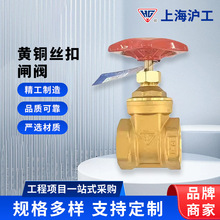 �Ϻ������S�~�z���l�yZ15W-16T �ݼyʽ�ԁ�ˮ�_�P�z���l�y�y�T