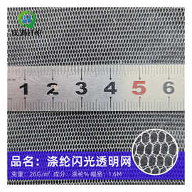 厂家批发20D涤纶闪光透明网眼布舞台婚纱服蚊帐网纱布绣花底布