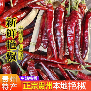 �F���خa������ӡ��ħ���������ζ��G�lС�����Ĵ����������l����