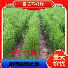 һ�����l���С��Ȱ����°����������~Ѭ��ؘ��~����ș�°ؘ�