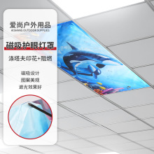 亚马逊跨境磁吸护眼灯罩 教室办公室客厅防刺眼遮光印花过滤灯盖
