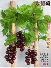 ���������~���������ϻ��ٵ������b��������ٗlˮ���߲��ٗl