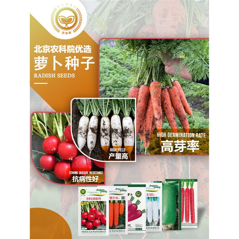 农科院萝卜种子水果胡萝卜欧防风樱桃萝卜心里美沙窝萝卜蔬菜籽孑