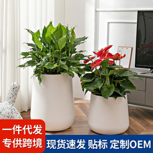 ���W�F������ˮ�����҃�����bGֲ���~����Ƥ���̖����