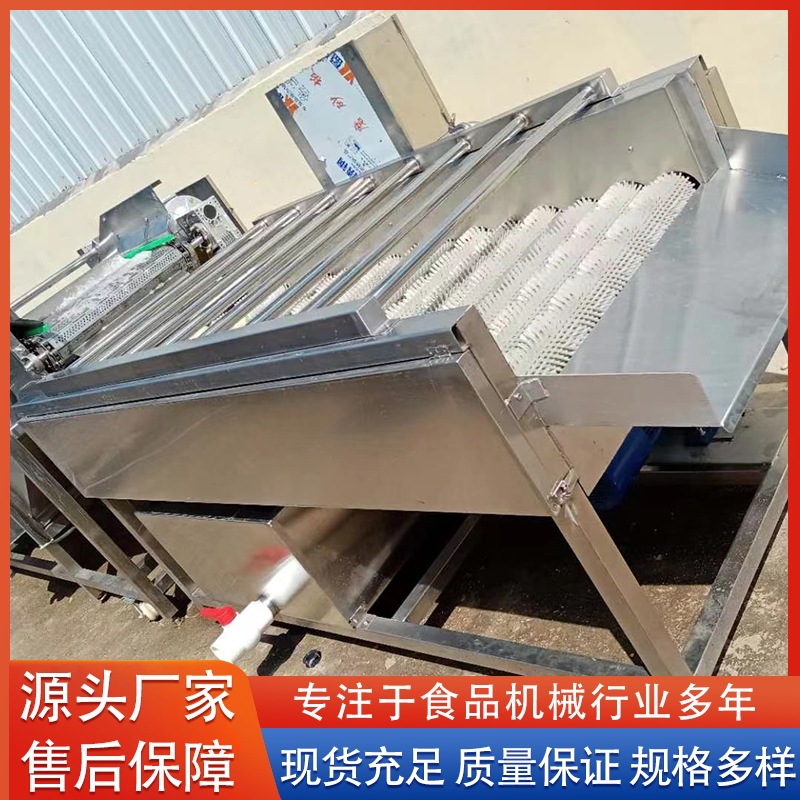 大姜去皮毛辊清洗机 番茄黄瓜清洗设备  萝卜毛辊清洗设备