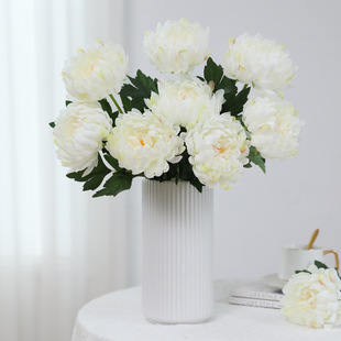 �߼��з��潁����z�ռҾӔzӰ�b��쾰���滨�ٻ��廨�[��