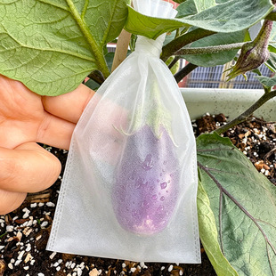 �����״����ô��Ϲ��S�Ͽ�ϷN�˷��x���B͸��͸��ͨ����ˮ������