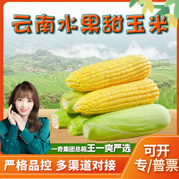 【严选】云南水果玉米 代发3/5斤可生吃新鲜应季鲜甜棒子包谷玉米
