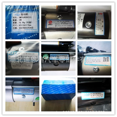 Starter and accessories M81R2502SE starter