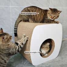 ���S�F؛���licle����؈ץ������ĥצ��ģ��ơ؈ץ����BB�ӏ�����