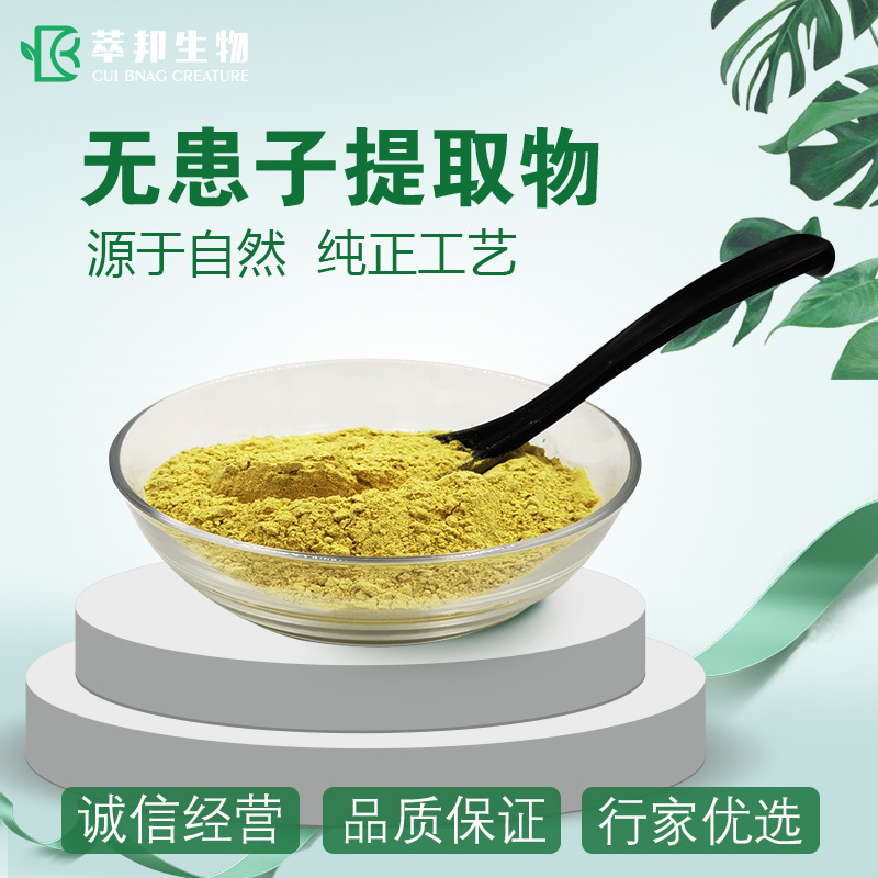 无患子提取物 现货供应 无患子皂甙  70-80%无患子