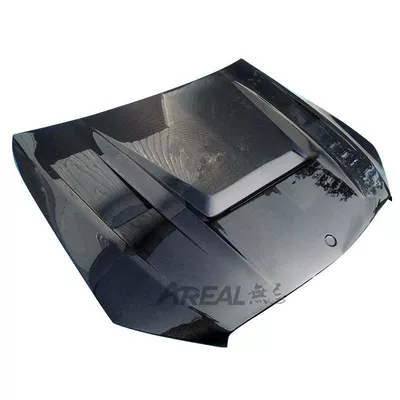 Spoiler, Carbon Fiber Hood/Original