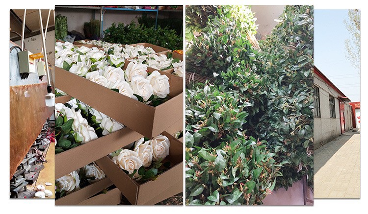 11109528297_2030961058