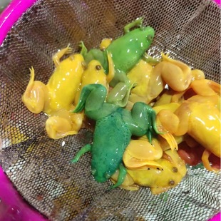 ���ܻ��w��ˮ�Ꭷ�^�p������ˮ��V��Դ�^���l��ɫ�^�p�ܔ[�����]