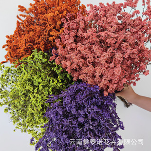 ��ɫˮ���ݸɻ��滨��Ȼ�L��Ⱦɫ��ϻ���ֱ�l�Ҿ��b�ˮ���ݻ���