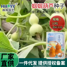 �X�X���J�N��������JС���J�L�����J�^�pʳ���߲˷N���r������
