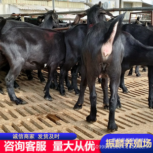 ��ɽ���Bֳ���ؑc�؅^��Ŭ�ȁ���ɽ��S�҆�