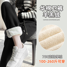 �A�޼ӽq���_�lѝŮ������a200����mm�����Ӻ����q�\�ӹ���ѝ