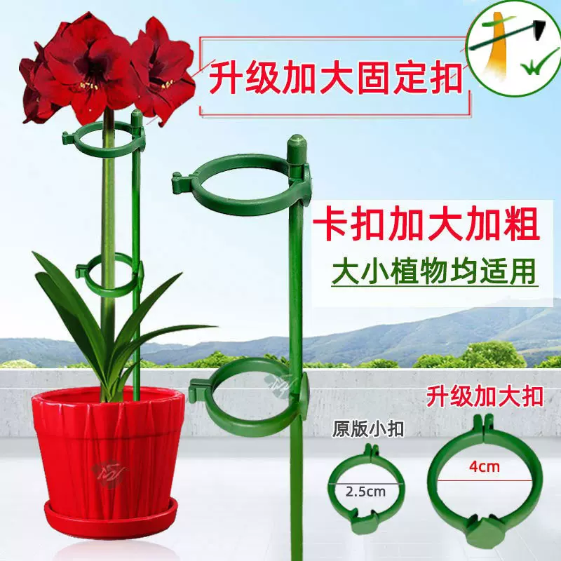 植物固定防倒伏花架子园艺支撑单杆室外花园月季爬藤绣球撑花支架