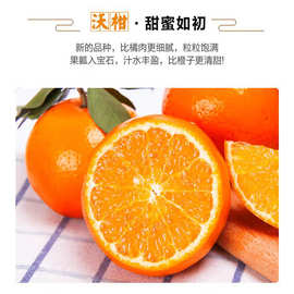 广西特产有机水果有机沃柑橘子新鲜多汁果园现摘整箱5斤起批发