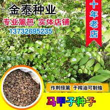 �R���ӷN�� �R���Ә�N�� �F�h�� �~�X�� �R���� ���P�� �B��վ��