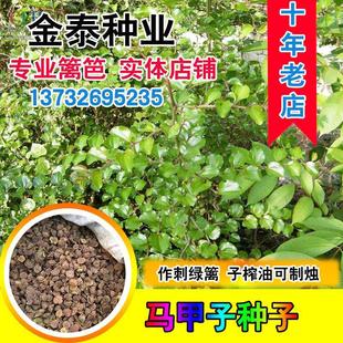 �R���ӷN�� �R���Ә�N�� �F�h�� �~�X�� �R���� ���P�� �B��վ��
