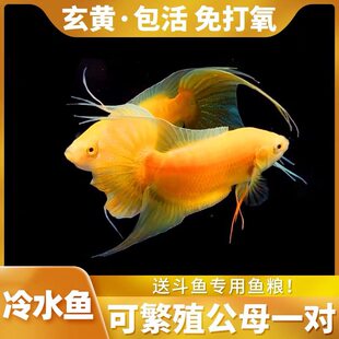 �Ї����~�S�����S������ͻ���ˮ��ˮ�^�p�~С�~���B���~��Ӝ�
