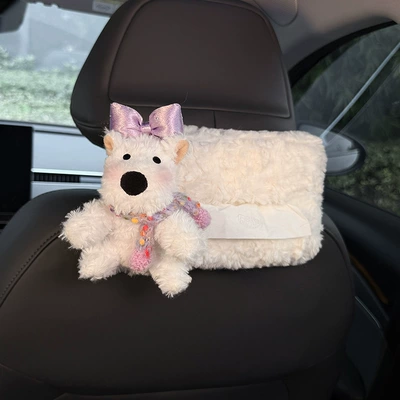 Car Tissue Box, 2025 New Model, Car tissue box/set