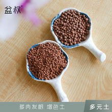 韩国多肉植物种子 韩国多肉植物种子品牌 图片 价格 韩国多肉植物种子批发 阿里巴巴