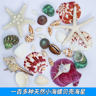 ��Ȼؐ������С�����~���쾰�ֹ�diy����Ư��ƿ�bľ�з�����l