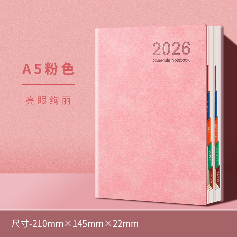 日程本2026年计划本表一日一页自律打卡效率手册每日历记事本定制|undefined