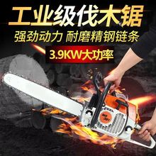 ¹˹ٶ250381רҵ;ⷥľ԰־;