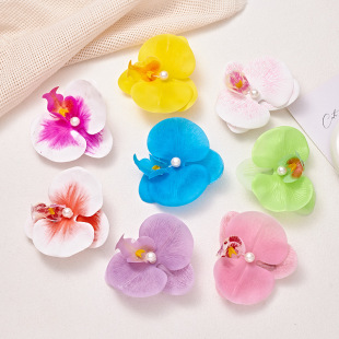 �羳�����@�y�����m�^���l�A��߅�ȼ��L��Ů�߼��Ђ�߅�A�^l�