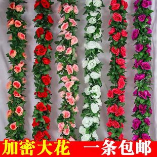 �����ٗl����õ�廨���bٻ���c���{�ܵ��p�@�ړ�������픱ڒ�