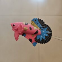 ̩�����~���~�����~�����~�PӖ���~���~���¶��~���~��